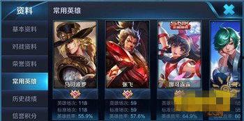 王者排位最新爆料英雄,神秘英雄强势登场，战局风云再起！