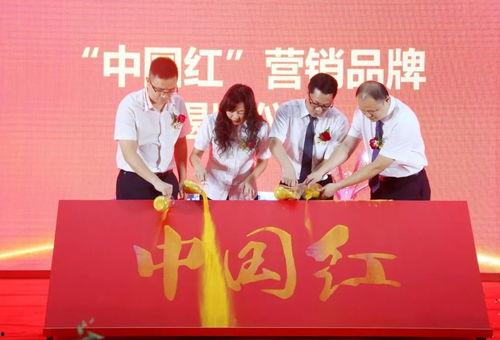 河源新闻媒体爆料,揭秘某重大事件背后真相 第3张 河源新闻媒体爆料,揭秘某重大事件背后真相 第3张