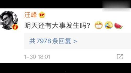 吃瓜娱乐有限公司,揭秘娱乐圈幕后故事，带你领略娱乐产业魅力  第3张